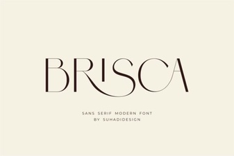 Brisca Font: Creative Typography for Modern Design